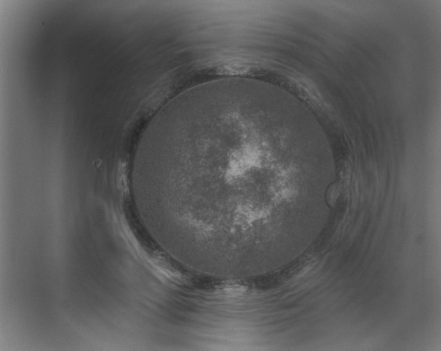 X0000071800598200606301203