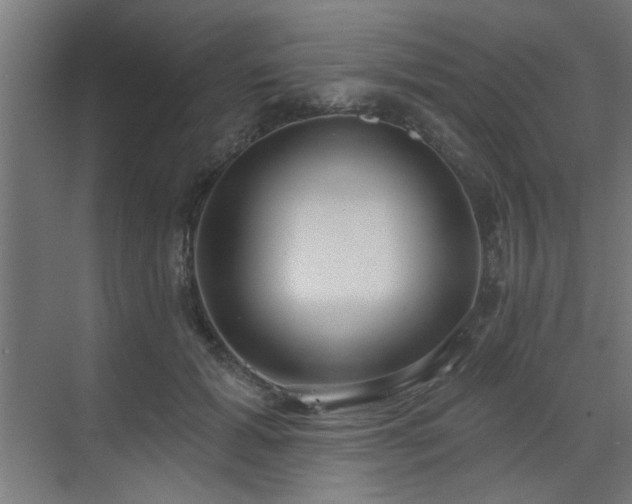 X0000071800605200606301203