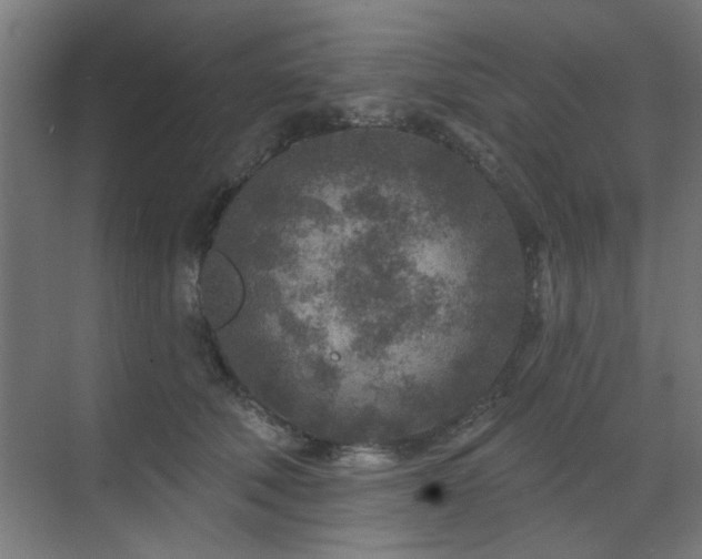 X0000071800610200606301203