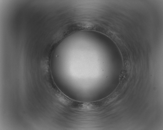 X0000071800612200606301203