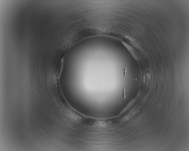 X0000071800613200606301203