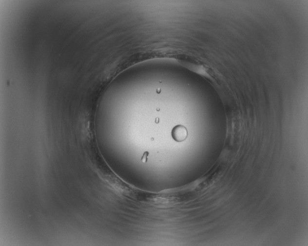 X0000071800615200606301203