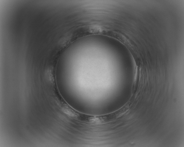 X0000071800616200606301203