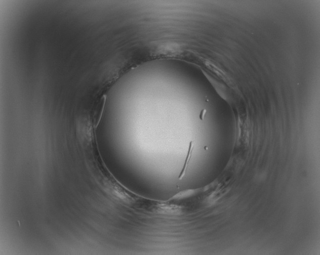 X0000071800617200606301203