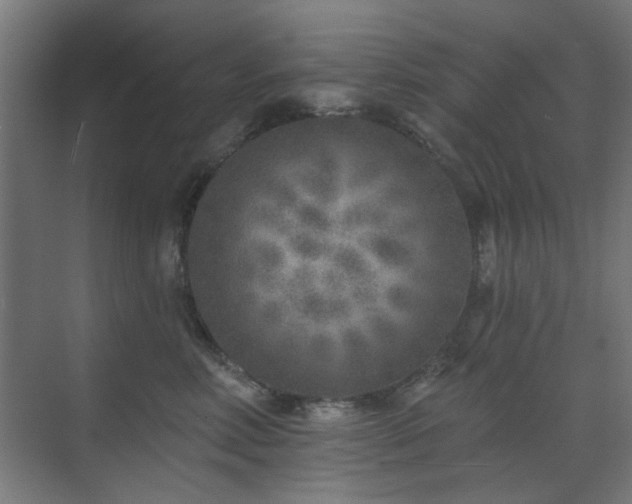 X0000071800618200606301203