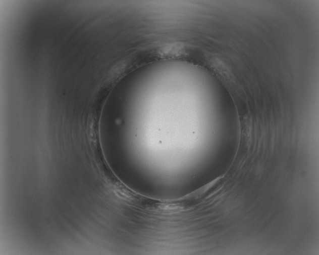 X0000071800619200606301203