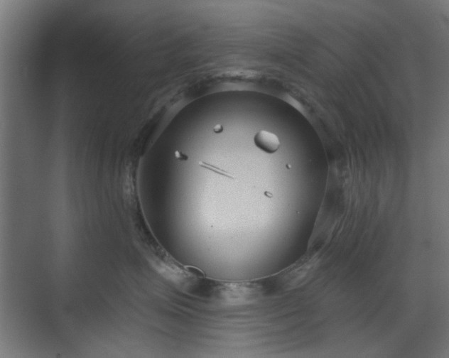 X0000071800623200606301202