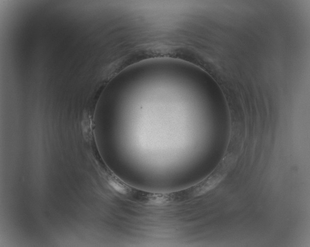 X0000071800624200606301202