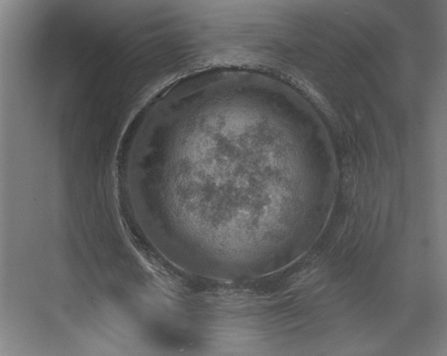 X0000071800626200606301202