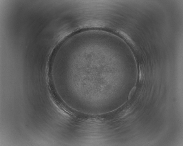 X0000071800627200606301202