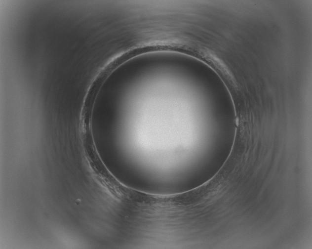 X0000071800628200606301202