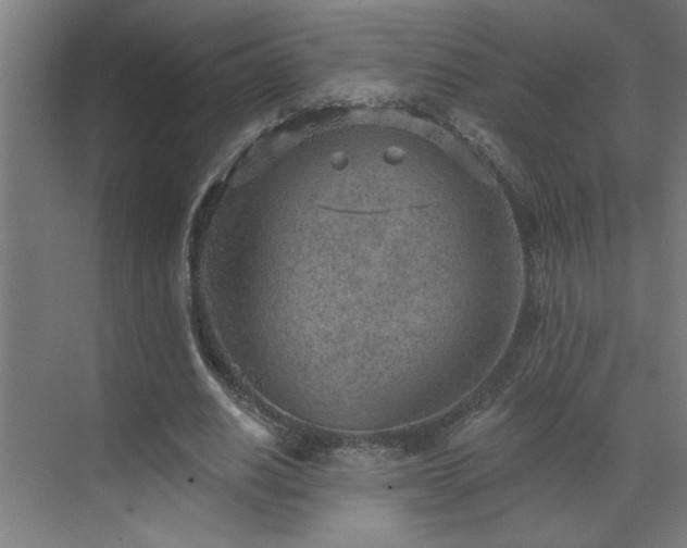 X0000071800630200606301202