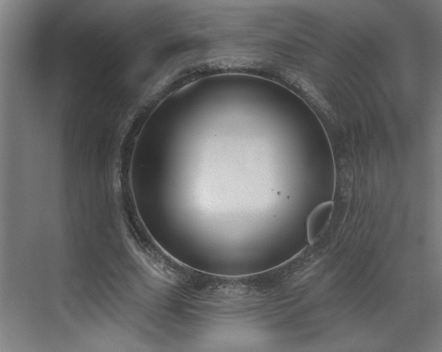 X0000071800631200606301202