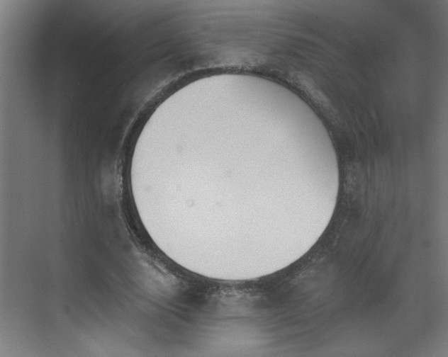 X0000071800632200606301202