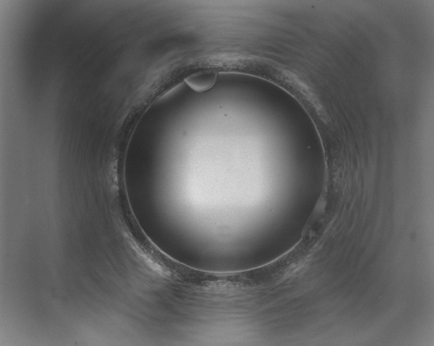 X0000071800633200606301202