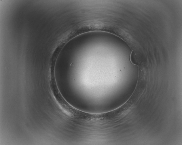 X0000071800638200606301202