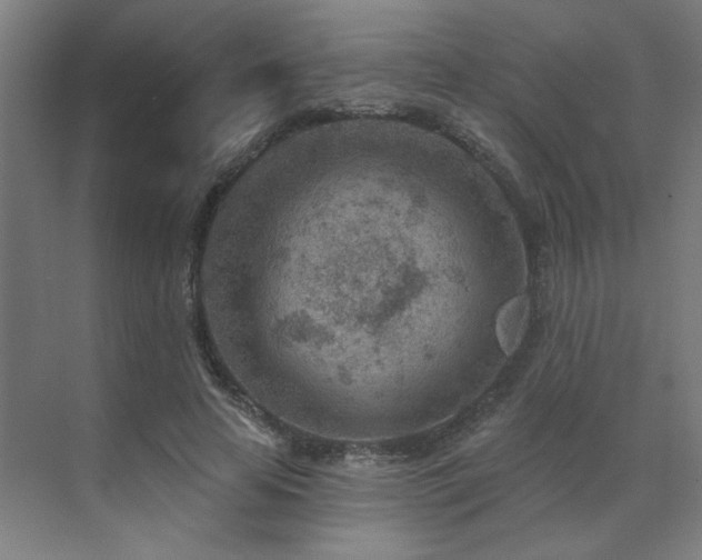 X0000071800641200606301202