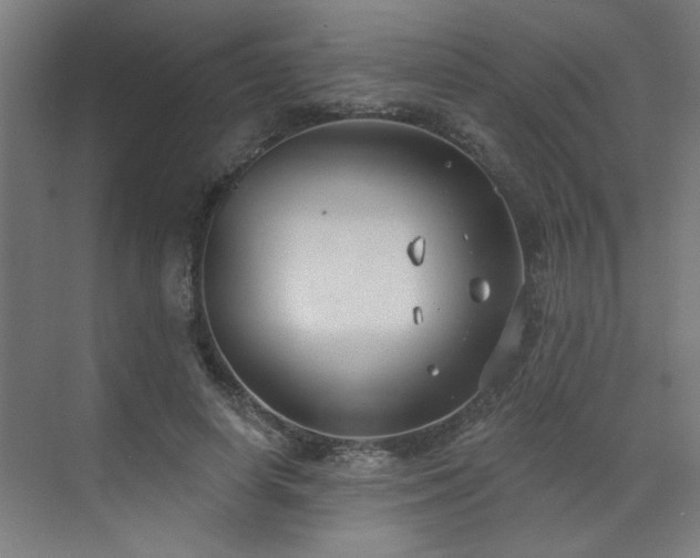 X0000071800642200606301202