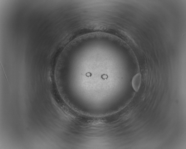 X0000071800643200606301202