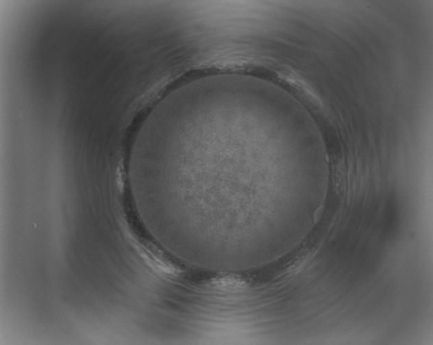 X0000071800644200606301202