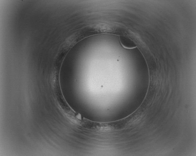 X0000071800645200606301202