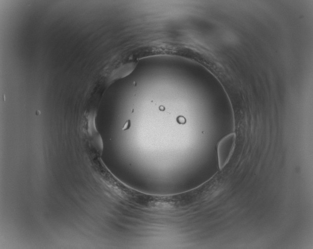 X0000071800649200606301202