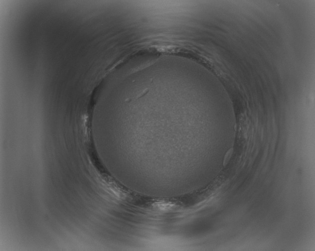 X0000071800650200606301202