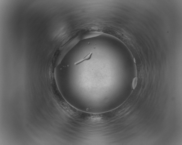 X0000071800651200606301202