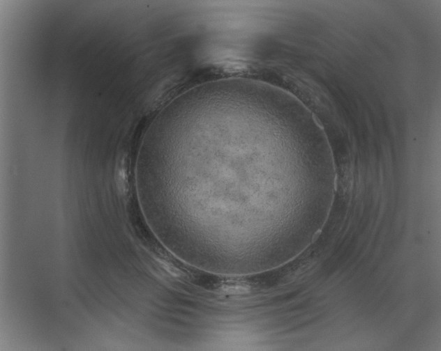 X0000071800653200606301202