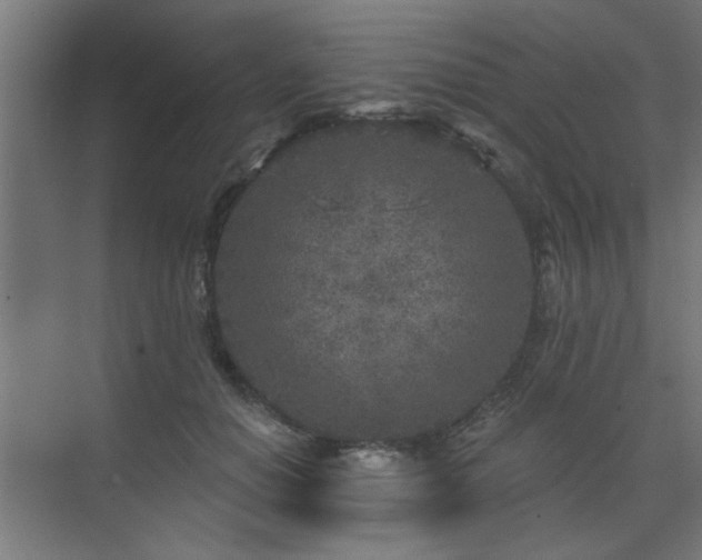 X0000071800654200606301202