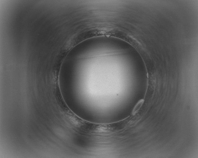 X0000071800657200606301202