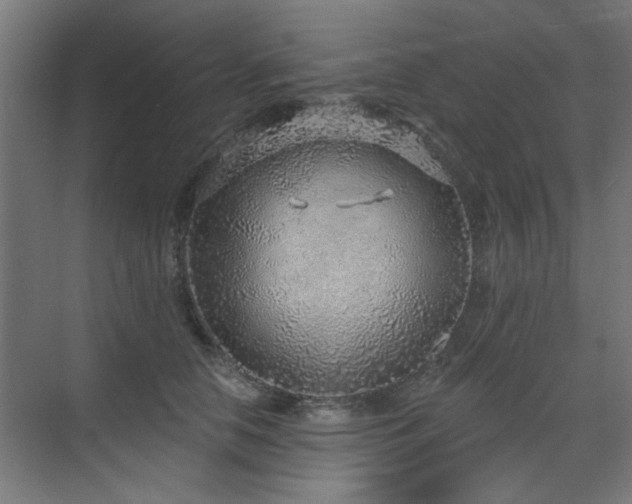 X0000071800658200606301202