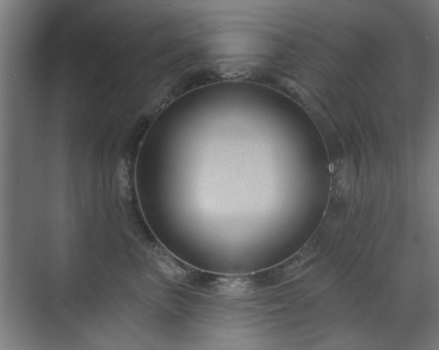 X0000071800667200606301202