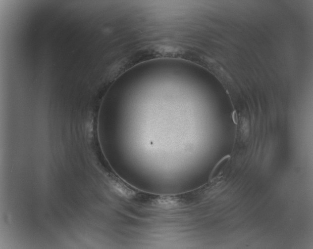 X0000071800668200606301202