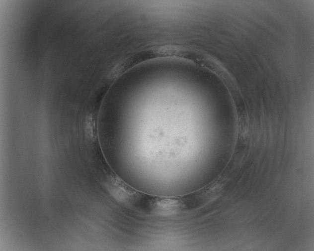 X0000071800669200606301202