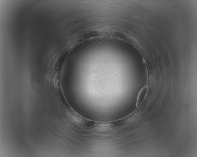 X0000071800671200606301202