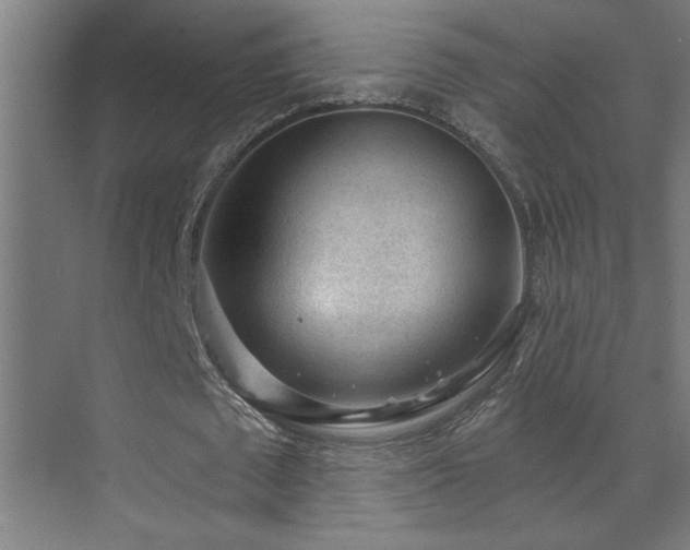 X0000071800673200606301202