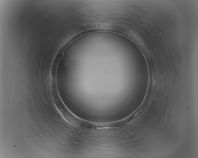 X0000071800674200606301202