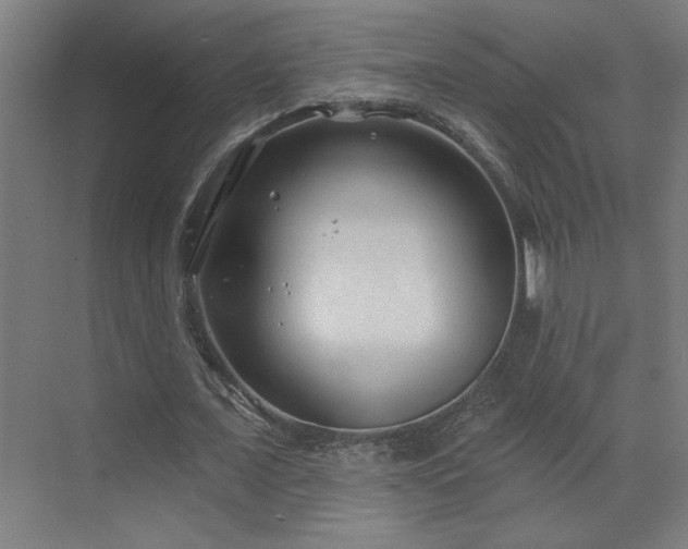 X0000071800675200606301202