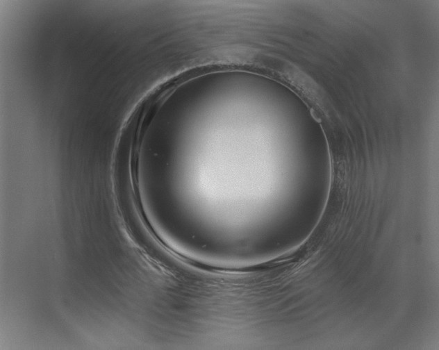 X0000071800676200606301202