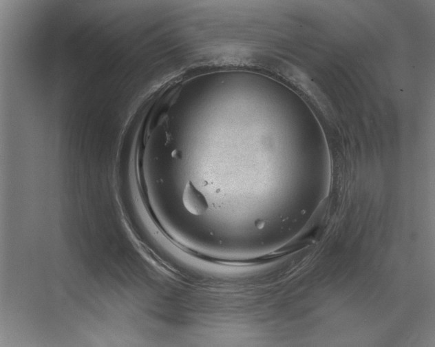 X0000071800677200606301202