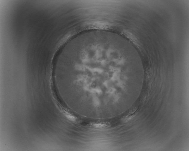 X0000071800679200606301202