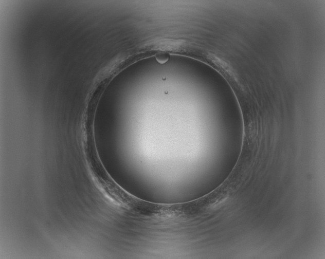 X0000071800682200606301201