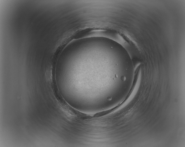 X0000071800685200606301201