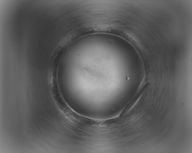 X0000071800687200606301201