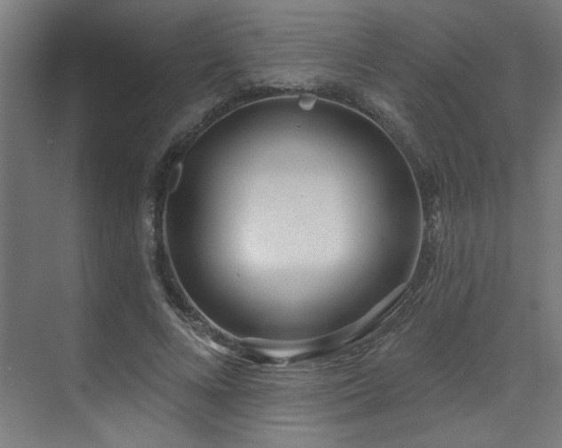 X0000071800688200606301201