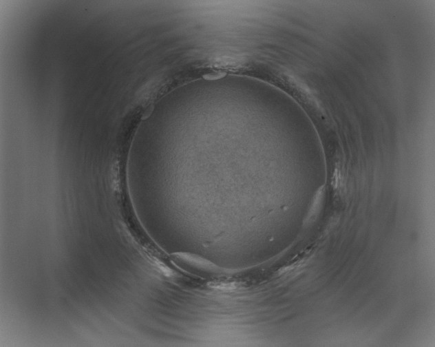 X0000071800689200606301201