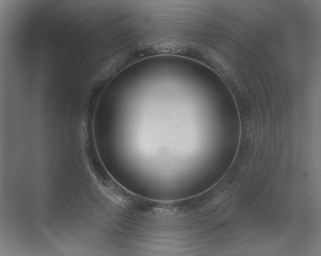 X0000071800690200606301201