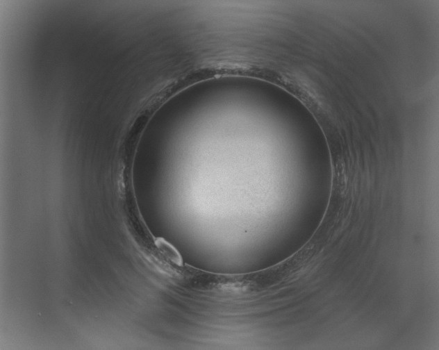 X0000071800692200606301201