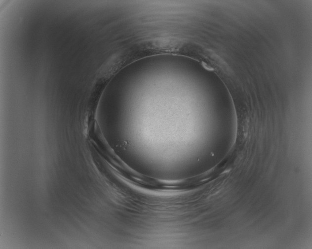 X0000071800693200606301201